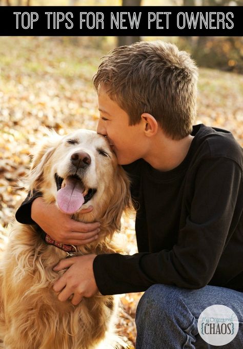 Top Tips for New Pet Owners. Welcoming a new pet to the family is exciting. By following these tips, you can help keep your pet safe and healthy. Animals Kissing, Mercy For Animals, Living With Dogs, Dog Health Tips, Dog Health Care, Dog Care Tips, Friendly Reminder, Dogs Golden Retriever, Portrait Ideas