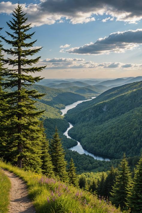 Trailblazer's Delight: Top Hiking Trails Across Vermont Vermont Green Mountains, Vermont Hikes, Jay Peak Vermont, Green Mountains Vermont, Vermont Hiking, Hike Pictures, Paint Mountains, Vermont Landscape, Mountain Walk