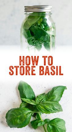 Store Fresh Basil, Storing Fresh Basil, Herbs Storage, Storing Basil, Preserve Fresh Herbs, Store Fresh Herbs, Harvesting Basil, A Couple Cooks, Herb Storage