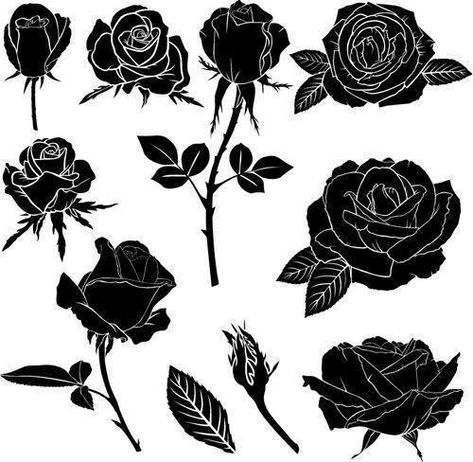 Photo Rose Vector Illustration, Black Rose Tattoo Meaning, La Muerte Tattoo, Tattoo Fairy, Rosen Tattoo Frau, Rose Tat, Rose Tattoo Meaning, Rose Vector, Illustration Rose