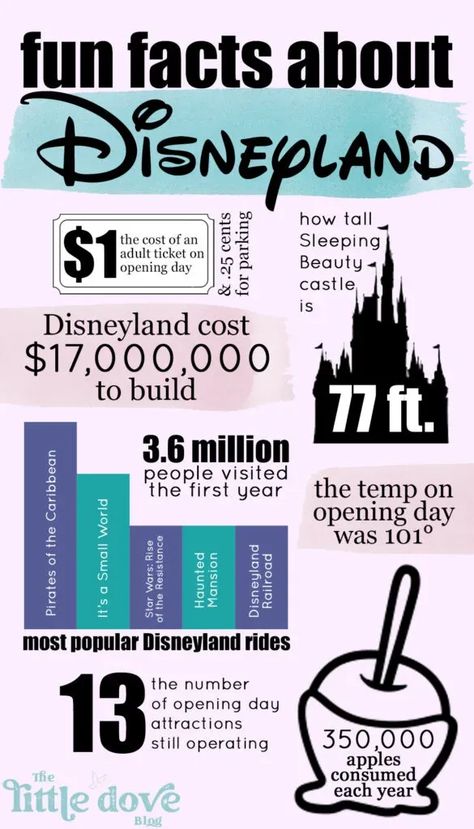 Fun facts about Disneyland. Disneyland statistics. Disney Infographic, Disneyland Facts, Packing List For Disney, Friday Facts, Disneyland Secrets, Disneyland Attractions, Disneyland Rides, Disney Fun Facts, Disney Vacation Planning