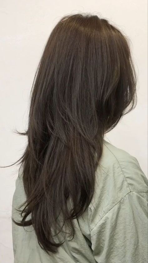 V Cut Hair, Korean Winter, Hair Inspiration Long, Layered Haircuts For Medium Hair, Hairstyles For Layered Hair, Hair Stylies, Haircuts For Medium Hair, Winter Hair Color, Haircuts Straight Hair