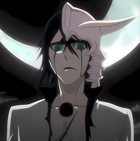 Ulquiorra Cifer Icon, Ulquiorra Schiffer, Bleach Pictures, Hellsing Ultimate Anime, Web Design Icon, Bleach Funny, Ulquiorra Cifer, Byakuya Kuchiki, Afro Samurai