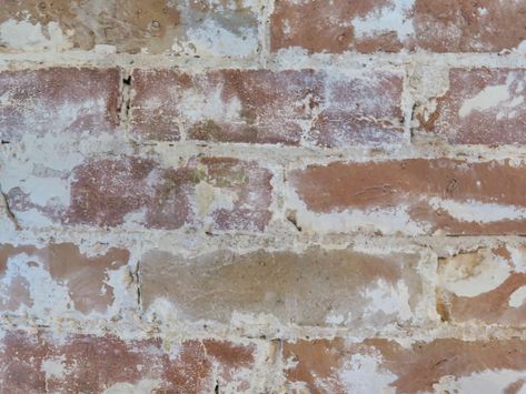 Learn how lime washing brick is a lower cost alternative to painting brick. Find out about limewashed brick for house exteriors and interior walls. Painted Brick Interior, Limewashed Brick, Limewash Brick Exterior, White Wash Brick Exterior, Interior Brick Wall, Limewash Brick, Brick Wall Gardens, Lime Wash Brick, Painting Brick