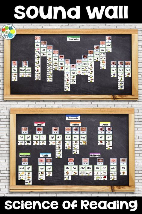 Intervention Classroom, Sound Wall, Literacy Coaching, Teaching Second Grade, Diverse People, Science Of Reading, Reading Specialist, 2nd Grade Reading, First Grade Reading