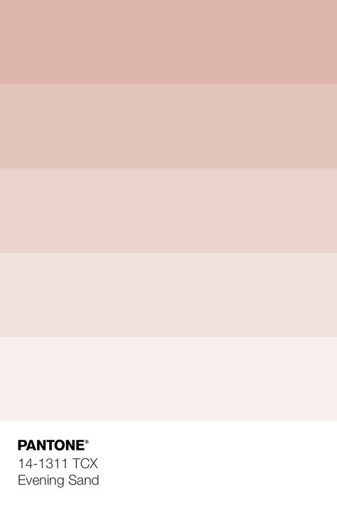 Light Blush Color Palette, Pink Sand Color Palette, Pastel Pink Palette Color, Blush Pink Shades, Pink Beige Colour Palette, Ballet Pink Color Palette, Muted Blush Color Palette, Neutral Pink Palette, Soft Pink Colour Palette