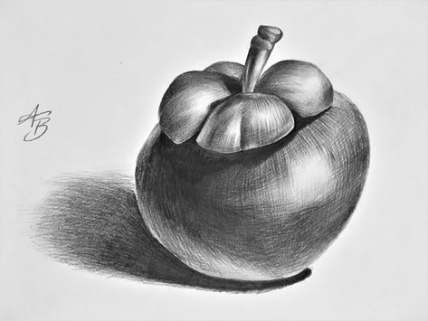 Sketches for the day 'Mangosteen' #sketch #sketches #charcoal #livedrawing #drawing #fineart #artwork #black #pencil #handdrawn #drawn #doodle #abbywatermark Still Life Sketch, Fruit Sketch, Basic Sketching, Fruit Art Drawings, Candle Drawing, Drawing Scenery, Pencil Drawings For Beginners, Fruits Drawing, Nature Art Drawings