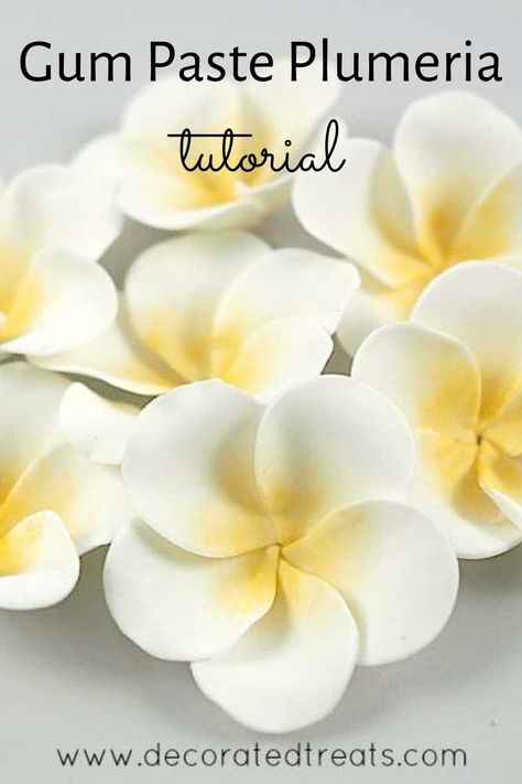 How to Make Gum Paste Plumeria (Frangipani) | Decorated Treats Fiori Frangipani, Flower Making With Ribbon, Gum Paste Flowers Tutorials, Beach Themed Cakes, Sugar Paste Flowers, Sugar Flowers Tutorial, Fondant Flower Tutorial, Diy Fleur, Elegant Cake