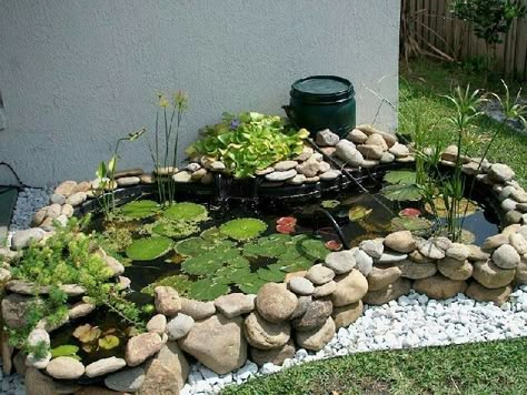 Preformed Pond, Diy Ponds Backyard, Backyard Fountain, Raised Pond, Ponds For Small Gardens, Fish Pond Gardens, Affordable Backyard Ideas, Goldfish Pond, Garden Pond Design