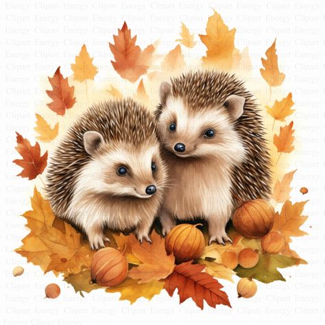 Hedgehogs in Autumn Leaves Clipart | 5 High Quality JPG's | Digital Download | Fall Nature Art | Woodland Design | Junk Journals | Clipart 🌟 Special Offer! 🌟 Elevate your creative projects with this exclusive clipart bundle, featuring 5 stunning images at an incredible price! Perfect for nursery wall art, junk journals, greeting cards, invitations, prints, scrapbooks, collages, mixed media, paper crafts, mugs, apparel, and social media posts. 🖼️ Each image is a unique masterpiece, available o Fall Clipart Autumn Clip Art, Leaves Clipart, Fall Nature, Fake Animals, Leaf Clipart, Free Printable Art, Autumn Nature, Hedgehogs, Free Art