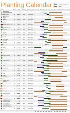 Vegetable Growing Chart, Planting Raised Garden Beds, Large Vegetable Garden, Vegetable Planting Calendar, Vegetable Garden Layout Design, Planting Chart, Planting Calendar, Vegetable Garden Raised Beds, Vegetable Garden Planning