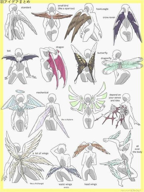 Wings Drawing, Drawing Faces, 캐릭터 드로잉, Poses References, Concept Art Drawing, Digital Painting Tutorials, Dessin Adorable, Art Poses, Drawing Tutorials