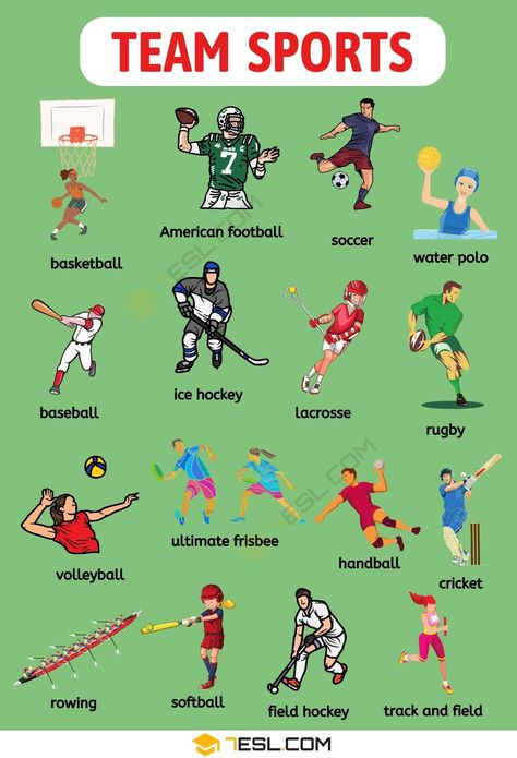 Team Sports Sports List, Physical Education Lessons, English Grammar For Kids, Experiments Kids, Volleyball Tournaments, Visual Dictionary, Study English, Physical Education Activities, English Games