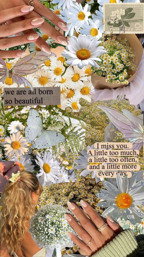 #myfirstshuffle #daisies #flowers #moodboard #collage #field #nails #inspo Daisy Collage, Flowers Moodboard, Daisy Aesthetic, Moodboard Collage, Daisy Field, Daisy Wallpaper, Flower Collage, Wall Papers, Colour Board