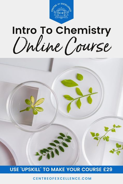 USE 'UPSKILL' TO MAKE YOUR COURSE £29 - Are you looking for chemistry lessons for beginners? Through this online course you’ll learn about chemistry lab equipment, get access to chemistry notes for beginners, and gain a greater understanding of the periodic table and its uses. Click here to start your course today. Intro To Chemistry, Physics For Beginners, Chemical Bonds, Chemistry Lab Equipment, About Chemistry, Centre Of Excellence, Chemistry Worksheets, Chemistry Lab, Chemical Bond