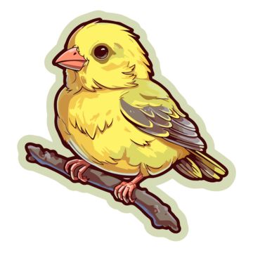 Canary Drawing, Bird Sitting, Drawing Png, Bird Drawing, Bird Clipart, On A Stick, Bird Drawings, Png Transparent Background, Vector Clipart