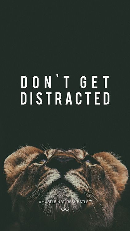 Stay motivated and focused on your hustle journey with our curated collection of 174 inspiring hustle quotes and downloadable motivational wallpapers. Keep Hustling Wallpaper, Iphone Wallpaper Hustle, Wake Up Pray Hustle Wallpaper, Displine Quotes Wallpaper, Wake Up Quotes Motivational, Hustle Captions, Hustle Hard Quotes, Sucessfull Quotes Wallpaper, Hype Quote