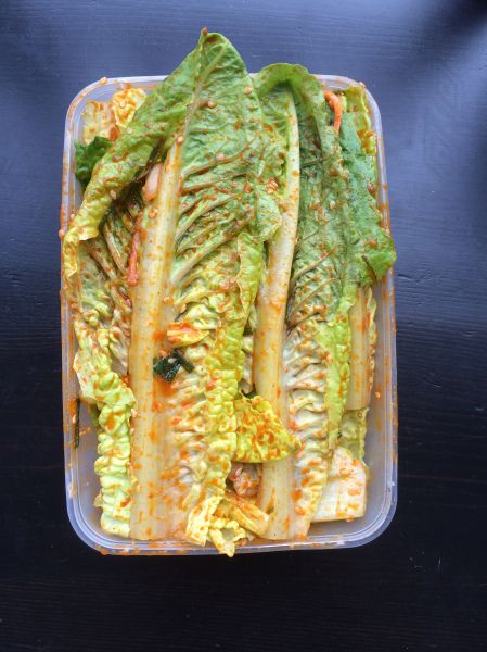 Lettuce Kimchi, Romaine Lettuce Recipe, Napa Cabbage Recipes, Fresh Kimchi, Lettuce Recipes, Fermented Kimchi, Tummy Yummy, Kimchi Recipe, Napa Cabbage