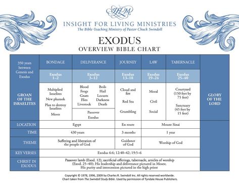 Moses Exodus, Exodus Bible, Book Of Exodus, Bible Study Notebook, Bible Devotions, Womens Ministry, Bible Teachings, Kids Church, Books Of The Bible