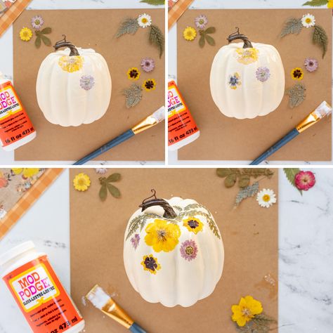 Hodge Podge Flower Pumpkins, White Pumpkin Pressed Flowers, Mod Podge Pumpkins With Flowers, Pumpkin Modge Podge Flowers, Modge Podge Pumpkins With Flowers, Mod Podge Flower Pumpkin, Modge Podge Pumpkins Flowers, Modge Podge Napkin Pumpkin, How To Modge Podge