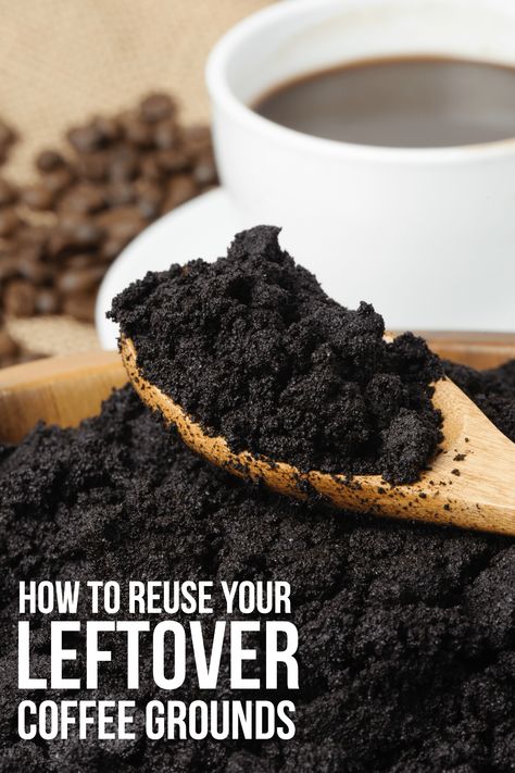 How to Reuse Your Leftover Coffee Grounds Coffee Ground Scrub, Leftover Coffee Grounds, Coffee Scrub Recipe, Leftover Coffee, Bed Ikea, Homemade Beauty Recipes, Keto Coffee, Coffee Body Scrub, Uses For Coffee Grounds