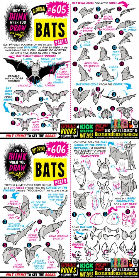 Bat Cartoon Character Design, Bat Tutorial Drawing, Bat Drawing Tutorial, Bats Anatomy, Bat Drawing Reference, Bat Wings Reference, Bat Hybrid, Bat Anatomy, Etherington Brothers