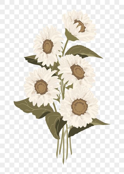 Macbook Icon, White Flower Png, Flower Bouquet Png, Pastel Botanical, Image Of Fish, Sunflower Bouquet, Plant Art Print, White Sunflowers, Vintage Png