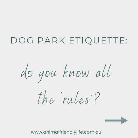 #PetTips 🌳🐾 Do you know what the etiquette is when at the dog park? If yes, you find most people follow the 'rules'? 🤔 Visiting the dog park can be a really fun experience. They're a great place for your dog to exercise, socialise and, of course, bond with you. But as fun as they are, they can come with challenges, especially if it's peak time at the park! 💡@petstock_australia's @larashannon shares some key advice for pet owners on how to avoid problems, including: • Watching for sig... Dog Park Etiquette, Pet Wellness, Pet Hacks, Dog Park, Do You Know What, Pet Owners, The Park, Did You Know, Key