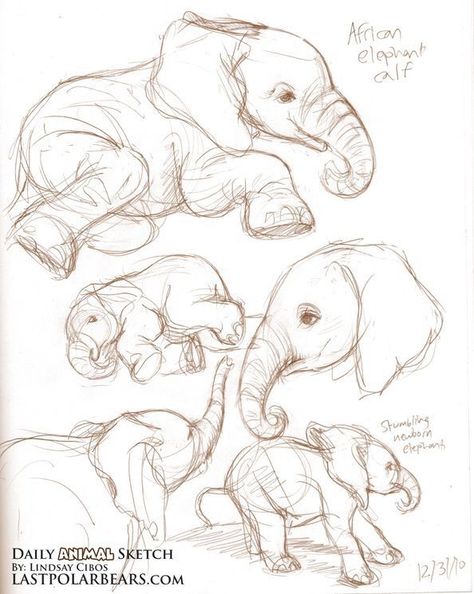 Elephant Line Drawing, Kunst Inspo, Animal Sketch, Some Drawings, Desen Realist, Animal Drawings Sketches, Drawing Eyes, Elephant Drawing, Desen Anime