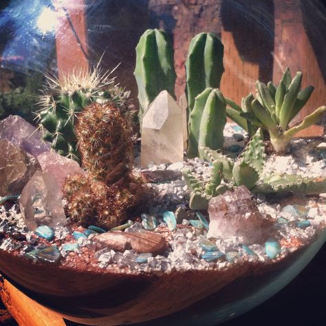 Crystal Cactus Garden Crystal And Succulent Garden, Crystal Projects, Flower Bookey, Glass Bowl Terrarium, Crystal Gardens, Houseplant Ideas, Crystal Terrarium, Flower Film, Metaphysical Store