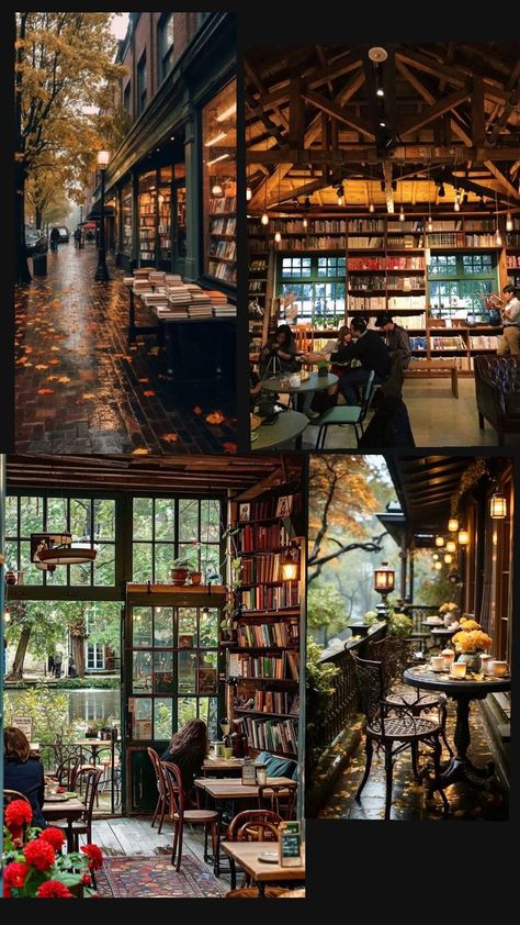 dark classic cozy magical bookstore vibes Magical Bookstore, Bedroom Updates, Bookstore