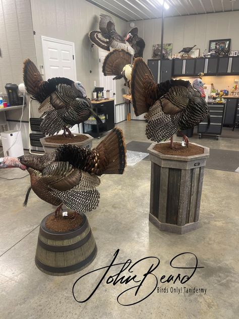 Turkey Taxidermy Mounts, Turkey Mounts Taxidermy, Turkey Mount Ideas, Deer Pedestal, Buck Mounts, Turkey Taxidermy, Turkey Hunting Decor, Hunting Mounts, Turkey Board