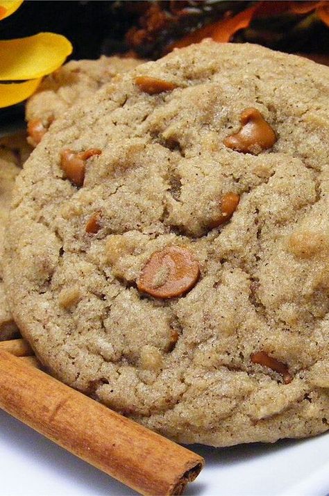 Cinnamon Spice Drop Cookies | "These were great I followed the recipe exactly! I made them as part of our cookie exchange and everyone loved them. These will be on our list for next year." #cookies #cookierecipes #bakingrecipes #dessertrecipes #cookieideas Itrackbites Recipes, Spice Drops, Drop Cookie Recipes, Rolled Sugar Cookies, Cookie Brownie Bars, Cinnamon Chips, Drop Cookies, Spice Cookies, Ginger Cookies