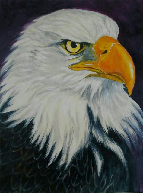 American Eagle by Pamela Brown Bald Eagle Watercolor Paintings, Eagle Painting Easy, Pamela Brown, Bird Painting Acrylic, Painted Things, Eagle Painting, Eagle Wallpaper, Bird Sketch, Bald Eagles