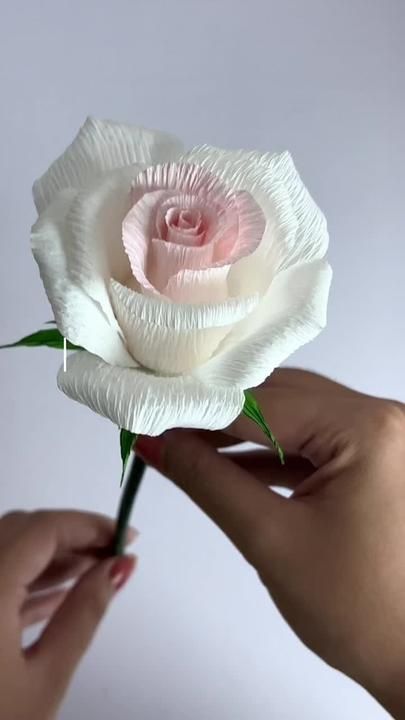 links to materials posted on my profile! #crepepaperflower #paperflowe... | cartotecnica paper | TikTok Flori Din Lut, Crepe Paper Crafts, Pola Manik, Handmade Flowers Fabric, Handmade Paper Crafts, Handmade Flowers Paper, Crepe Paper Flowers, Diy Paper Crafts Decoration, Paper Flowers Craft