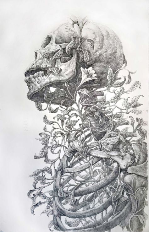 Vines and Flowers Intertwine with an Imposing Skeleton in an Elegant Graphite Drawing by Guno Park | Colossal Skeleton Drawings, Colossal Art, Skeleton Art, Arte Obscura, Gcse Art, 문신 디자인, Graphite Drawings, A Skull, Anatomy Art