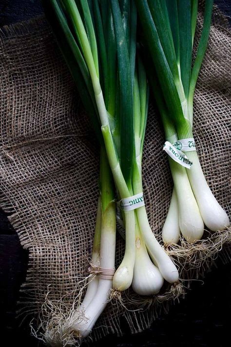 Discussion of scallion vs green onions can be confusing. Is there a difference? Also, what are spring onions? Dig in to the answers here! Green Onion Aesthetic, Scallion Recipes, Dream Fridge, Spring Nails 2020, Spring Outfits 2020, Vegetable Salads, Black Dessert, Vegetable Salad Recipes, Onion Vegetable