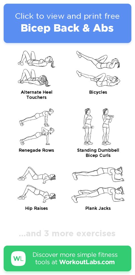 Bicep Back & Abs – click to view and print this illustrated exercise plan created with #WorkoutLabsFit Back And Abs Workout, Dumbbell Bicep Curl, Back And Bicep Workout, Best Abdominal Exercises, Workout Labs, Ab Workout Plan, Cardio Workout At Home, Exercise Plan, Abdominal Exercises