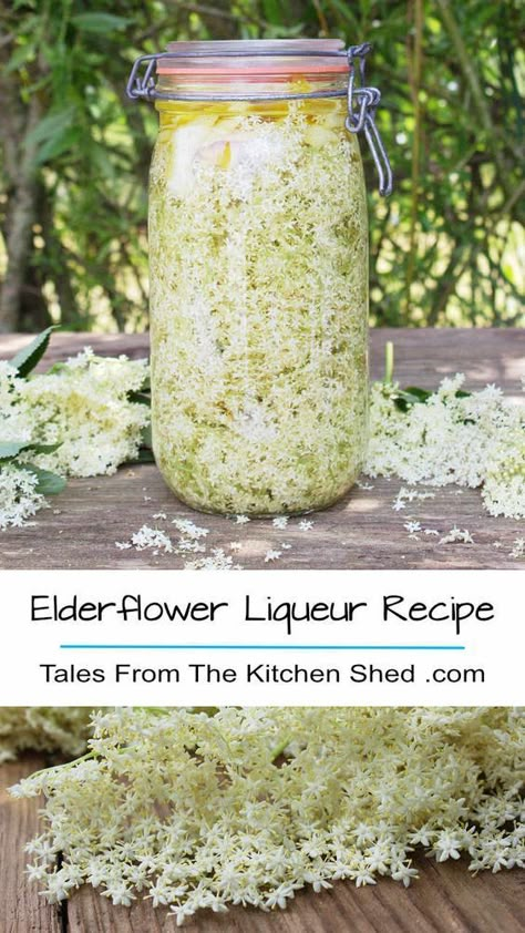 Capture the taste of summer with my Elderflower Liqueur recipe. Freshly picked elderflowers, vodka Elderflower Recipes, Elderberry Recipes, Edible Flowers Recipes, Homemade Alcohol, Wild Food Foraging, Homemade Liquor, Liquor Recipes, Foraging Recipes, Liqueurs Recipes