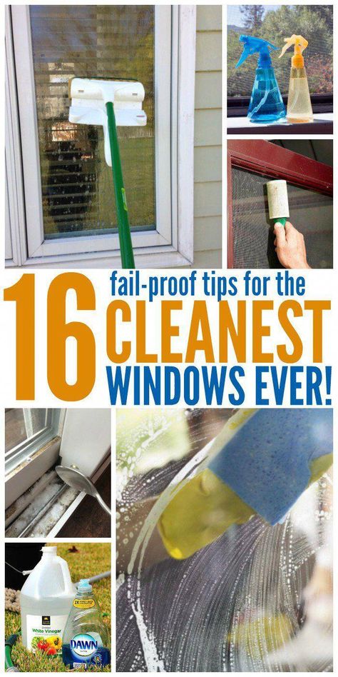 Clean grimy windows for a gorgeous streak-free shine. It's not as difficult or time consuming as you'd think when you use these easy window cleaning tips. Window Cleaning Tips, Clean Baking Pans, Deep Cleaning Hacks, Cleaning Painted Walls, Glass Cooktop, Vinegar Cleaning, Deep Cleaning Tips, Diy Window, Simple Life Hacks