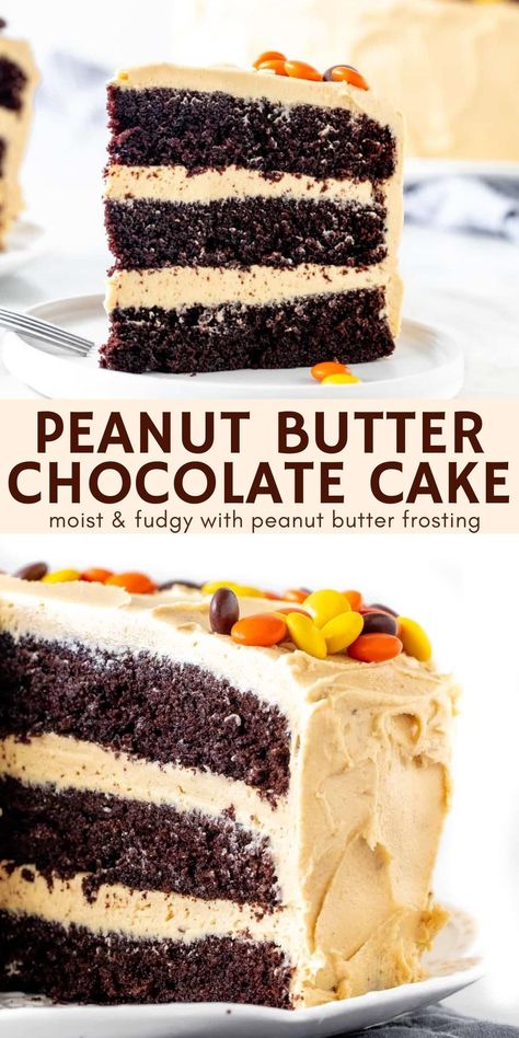 Peanut Butter Cake Recipe, Fudgy Chocolate Cake, Unfrosted Cake, Chocolate Peanut Butter Cake, Peanut Butter Candy, Butter Cake Recipe, Butter Icing, Peanut Butter Cake, Peanut Butter Frosting