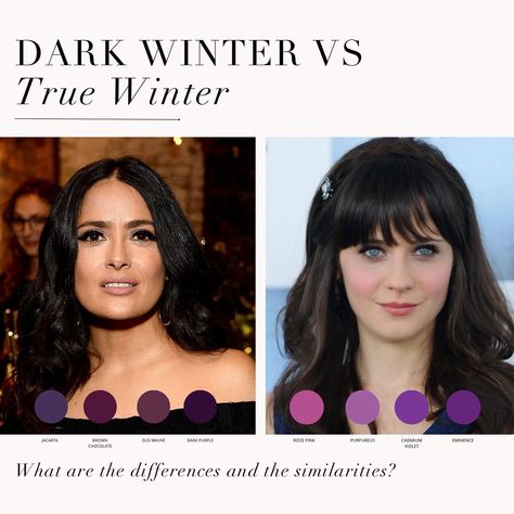 Colour Analysis + Personal Styling | Dark Winter / Deep Winter VS True Winter palette 🖤 . #coloranalysis #colouranalysis #winterpalette #truewinter #darkwinter #deepwinter... | Instagram True Winter Hair Color, True Winter Palette, Color Analysis Winter, True Winter Color Palette, Winter Deep, Deep Winter Palette, Dark Purple Roses, Deep Autumn Color Palette, Colour Season