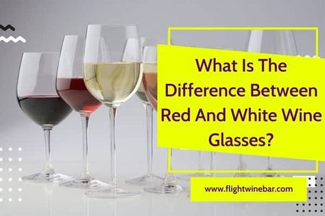 Moscato Wine, Different Wines, Small Glasses, White Wine Glasses, Red Wine Glasses, Types Of Wine, Zinfandel, What Is The Difference Between, Buy Wine