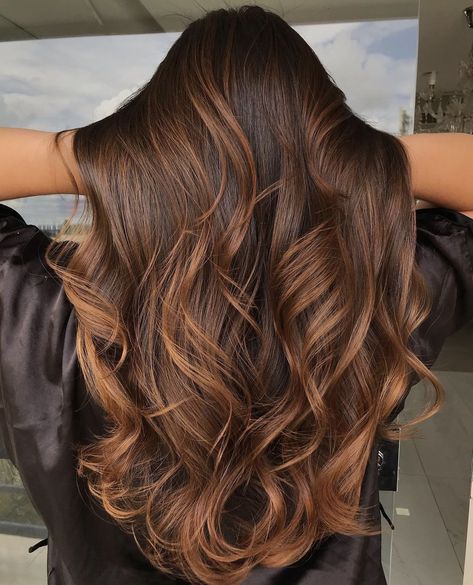 Brown Hair And Caramel Balayage, Sun Kiss Brown Hair, Chestnut Bayalage Brunette, Light Brown Balayage Hair Caramel, Brunette Hair Color With Highlights Caramel, Dark Brown Hair With Honey Balayage, Caramel Highlights In Brown Hair, Hazelnut Brown Balayage, Chestnut Brown Hair Balayage