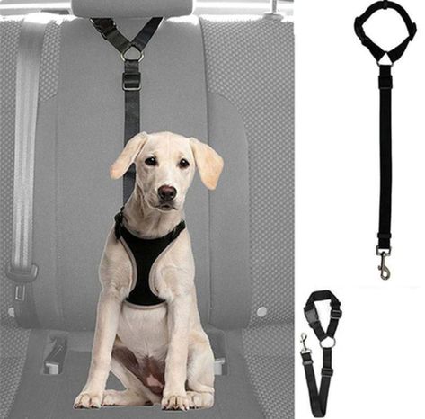 Dog Car Harness, Dog Car Seat Belt, Car Harness, Car Travel Accessories, Belt Harness, Dog Seat Belt, Cat Seat, Dog Seat, Pet Car Seat