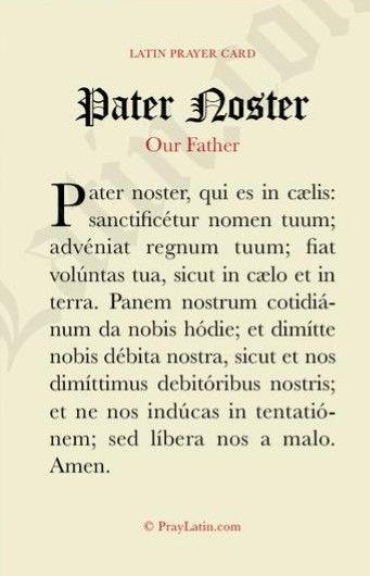 Latin Prayers, Rosary In Latin, Latin Language Learning, Prayer For Safety, Pater Noster, Bible Timeline, Catholic Beliefs, Personal Prayer, Sacred Scripture