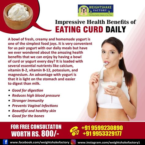 Curd contains beneficial bacteria and may function as a probiotic, providing a variety of health benefits above and beyond plain milk. Plain Yogurt Benefits, Curd Benefits, Milk Curd, Yogurt Benefits, How To Help Nausea, Homemade Yogurt, Liver Detox, Healthy Heart, Beneficial Bacteria