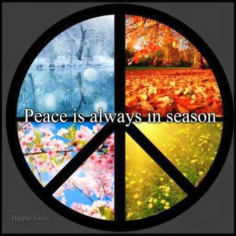 Peace is always in season Hippie Peace Quotes, Peace Quote, Peace In The World, Peace Symbols, Feelin Groovy, Hippy Style, Symbol Art, Peace Love Happiness, Give Peace A Chance