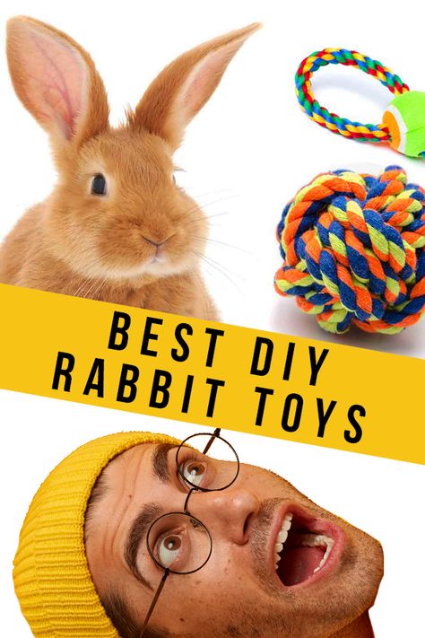 DIY rabbit toys are easy and fun to make! Just because bunnies are quiet, doesn’t mean they don’t like to play. In fact, rabbits are naturally intelligent, playful animals. How To Make Rabbit Toys, How To Make Rabbit Toys Diy, Free Roaming Rabbit Ideas, Pet Bunny Rabbits Cage, Diy Rabbit Accessories, Bunny Boredom Busters, Activities For Rabbits, Toys For Rabbits Diy, Enrichment For Rabbits