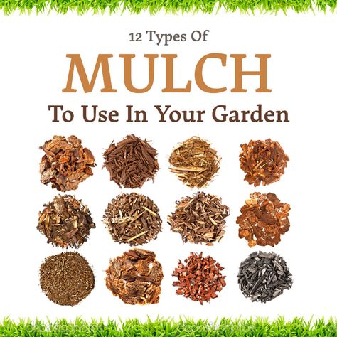 Garden Bark, Eye Makeup Trends, Compost Mulch, Garden Mulch, Straw Mulch, Types Of Mulch, Rubber Mulch, Mulch Landscaping, Christmas Eye Makeup